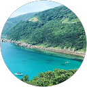 薬師寺達 profile picture