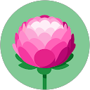 mana hozu profile picture