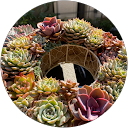 こつぶ profile picture