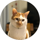 Eve Tree profile picture