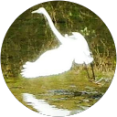 Hiro Ocean profile picture