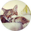 Chibi IIO profile picture