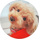 Emi Ima profile picture