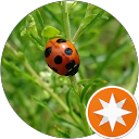 ヒヨドリ亭 profile picture