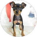 KAZU profile picture