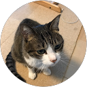 堀内明子 profile picture