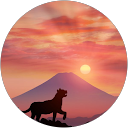 グリーンふらわー profile picture