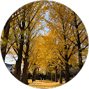 Mu To (Muto) profile picture