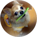 高野博祐 profile picture