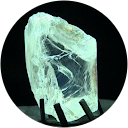 シェリーメイ profile picture