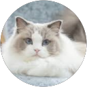 三船ノリ子 profile picture