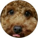 2000 t profile picture