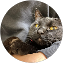 戸田麻理 profile picture