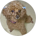 塩澤浩 profile picture