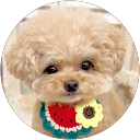 rumi profile picture