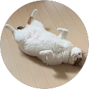 遠藤真里 profile picture