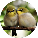 WeekendFlower Le26 profile picture