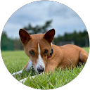 三島秀樹 profile picture