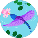 bird-a profile picture