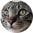 岡田克彦 profile picture