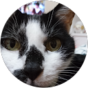 ぷっちょ profile picture