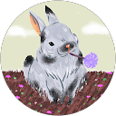 rabbit profile picture