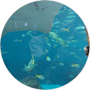 HIROKO profile picture