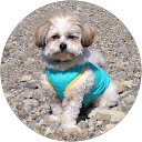 miya 1980 profile picture