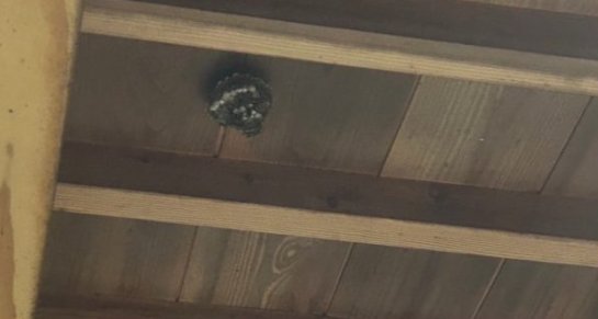 【施工前(Before)】