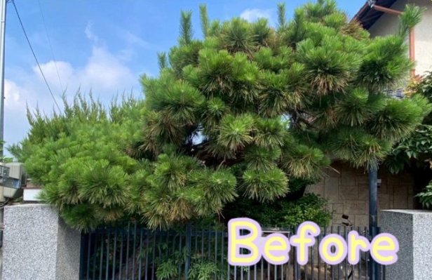 【施工前(Before)】