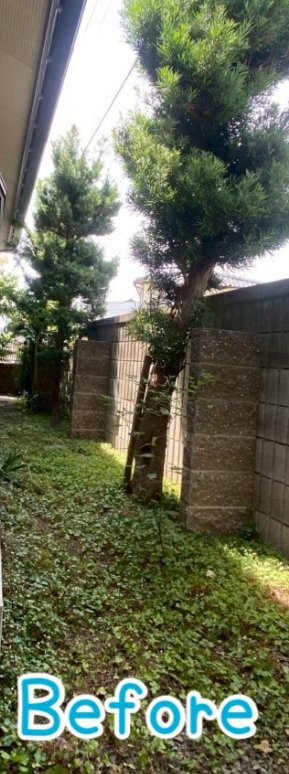 【施工前(Before)】