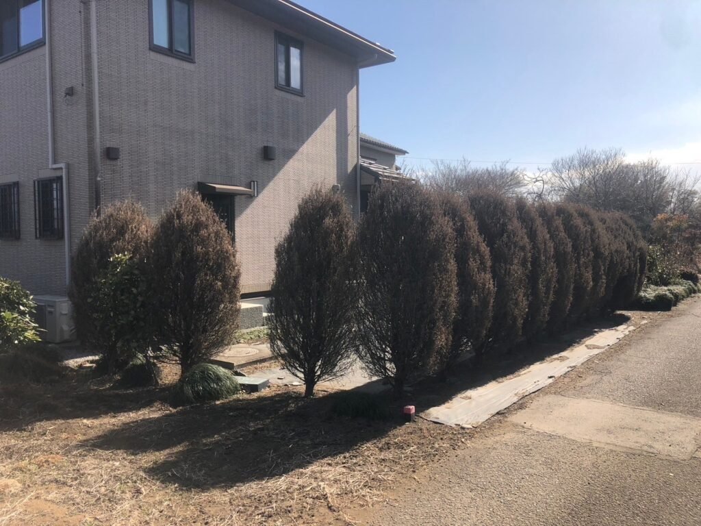 【施工前(Before)】