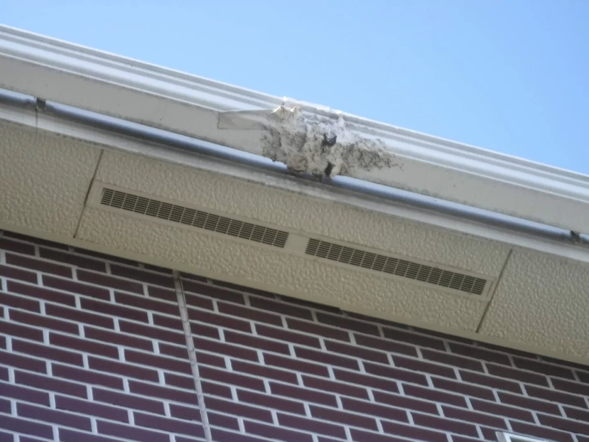 【施工前(Before)】