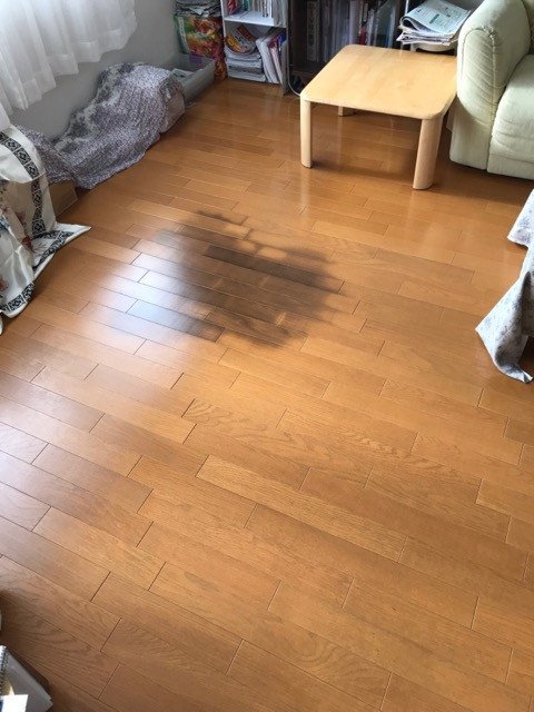 【施工前(Before)】